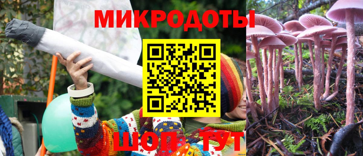 Псилоцибиновые грибы мицелий Добрянка